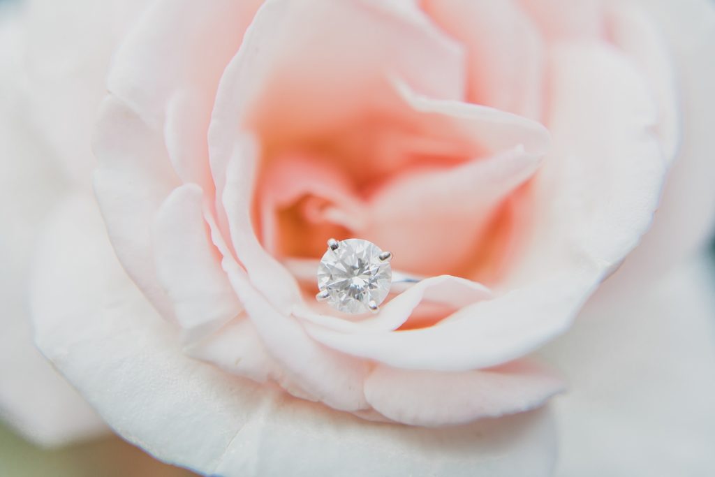 blush pink rose holds diamond ring by M Harris Studios